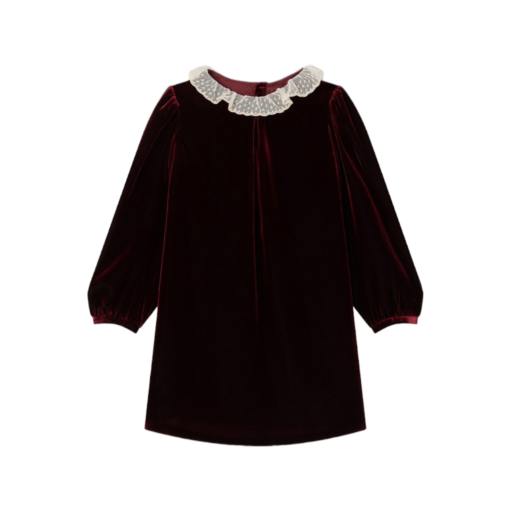 Bib Collar Velvet Dress