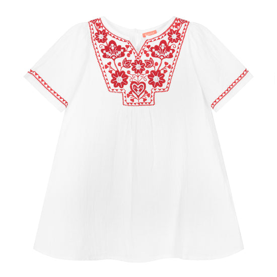 Embroidery Collar Dress