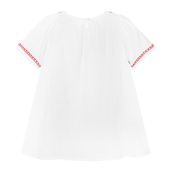 Embroidery Collar Dress