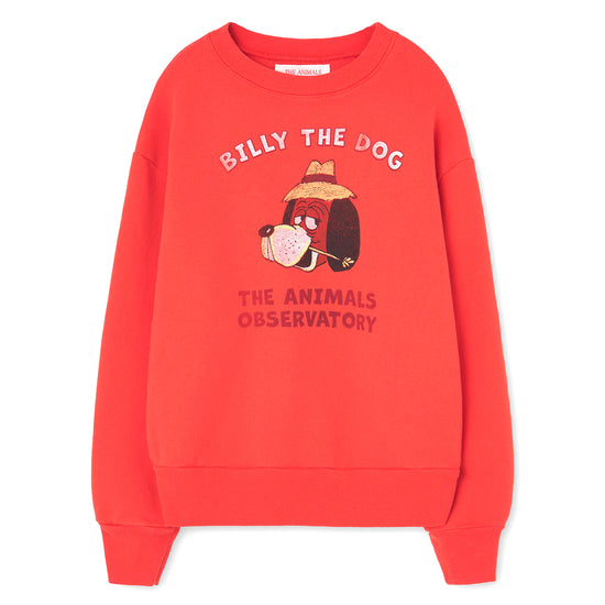 Bear Cotton Sweatshirt