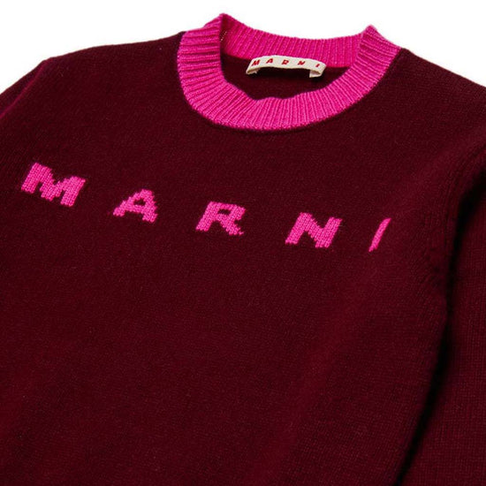 Marni Kids Logo Sweater