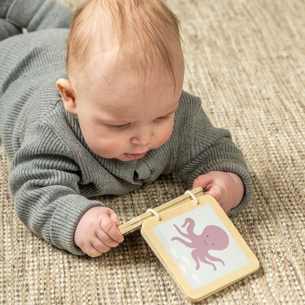 Jabadabado Play and Learn Box (6 to 12 Months)