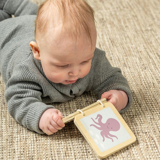 Jabadabado Play and Learn Box (6 to 12 Months)