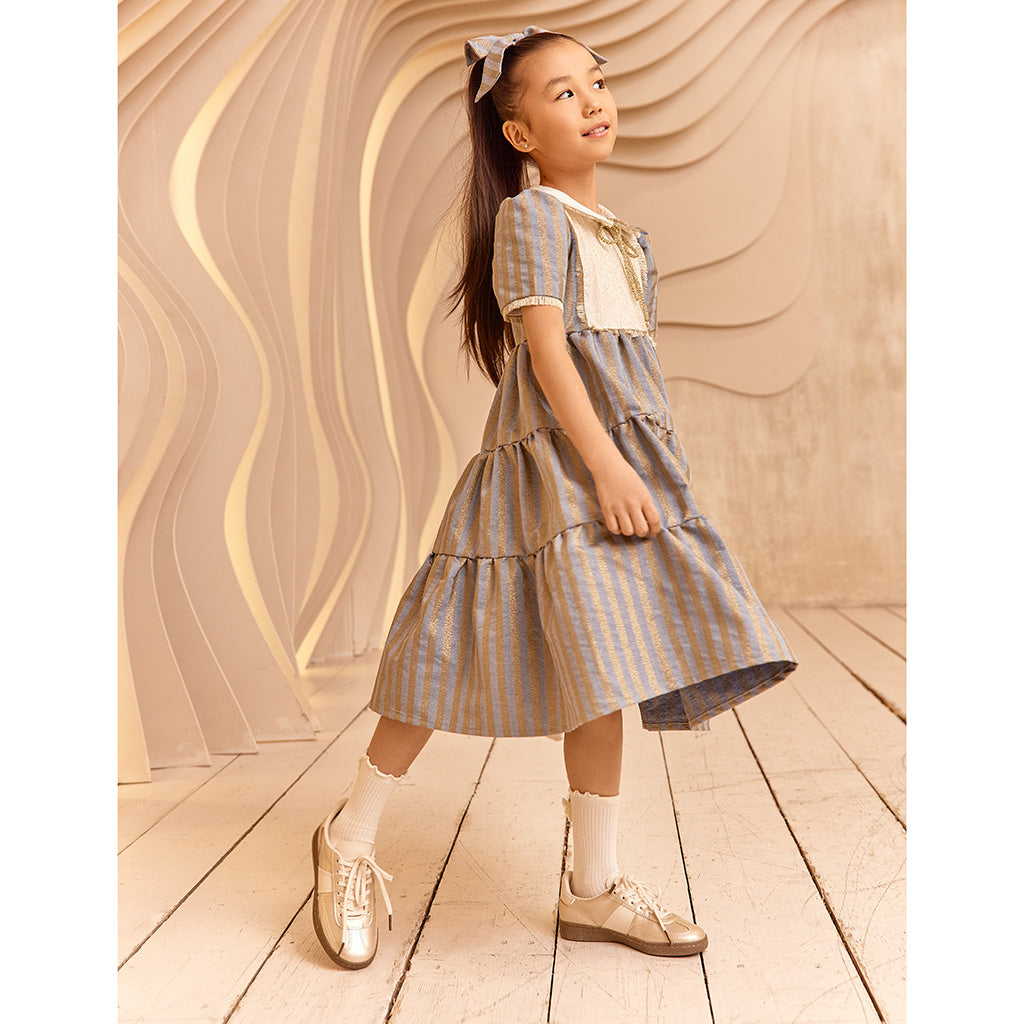 Eirene Denim Gold Strip Dress