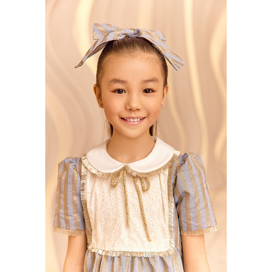 Eirene Denim Gold Strip Dress