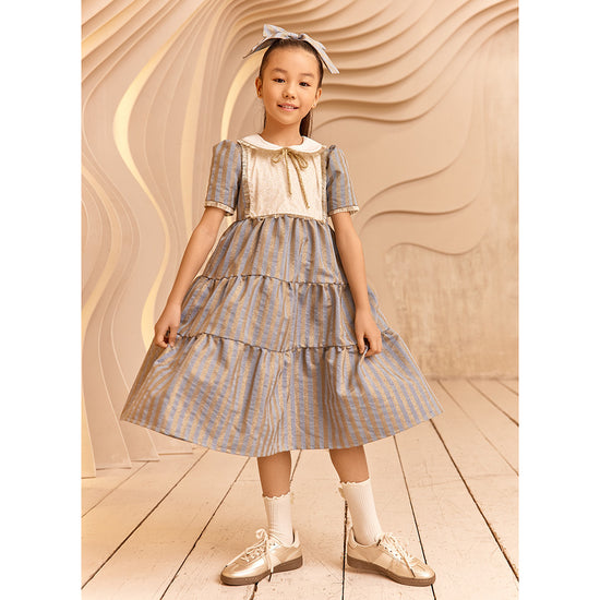 Eirene Denim Gold Strip Dress