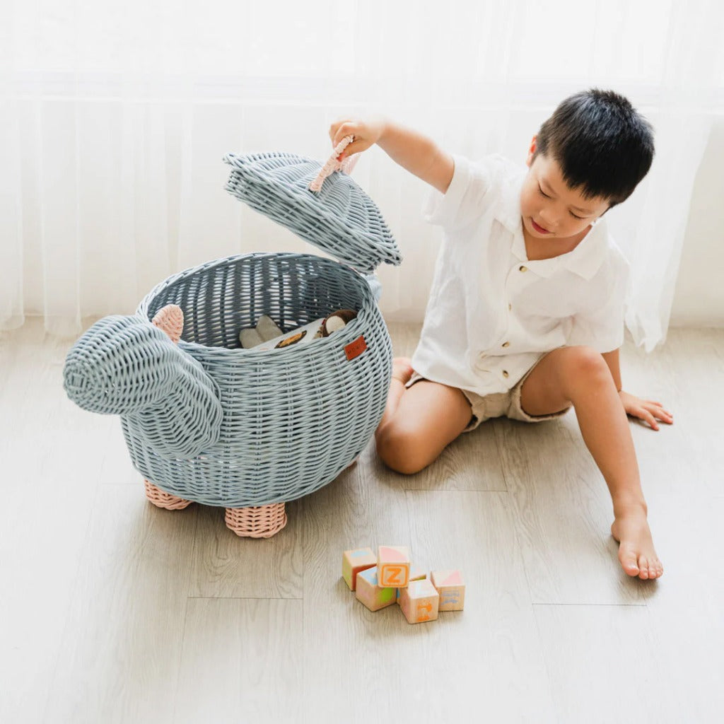 Momiji Dinosaur Storage Basket - Blue Pink