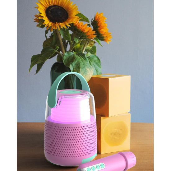 MOB Enceinte KS-80 Rose