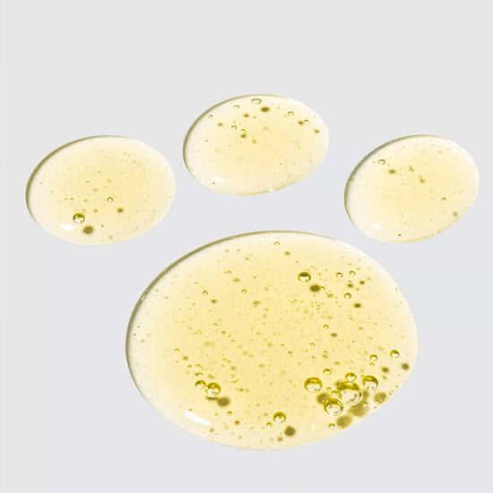 Bramley Digby Dog House