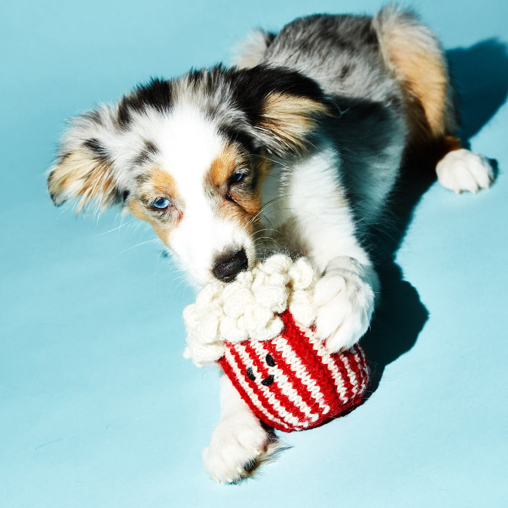 Ware of the Dog Hand Knit Pop Corn