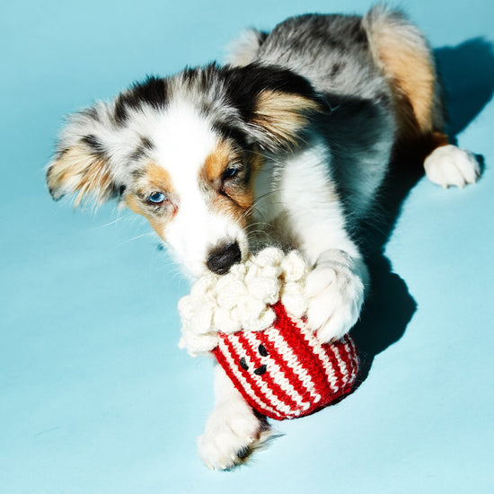 Ware of the Dog Hand Knit Pop Corn