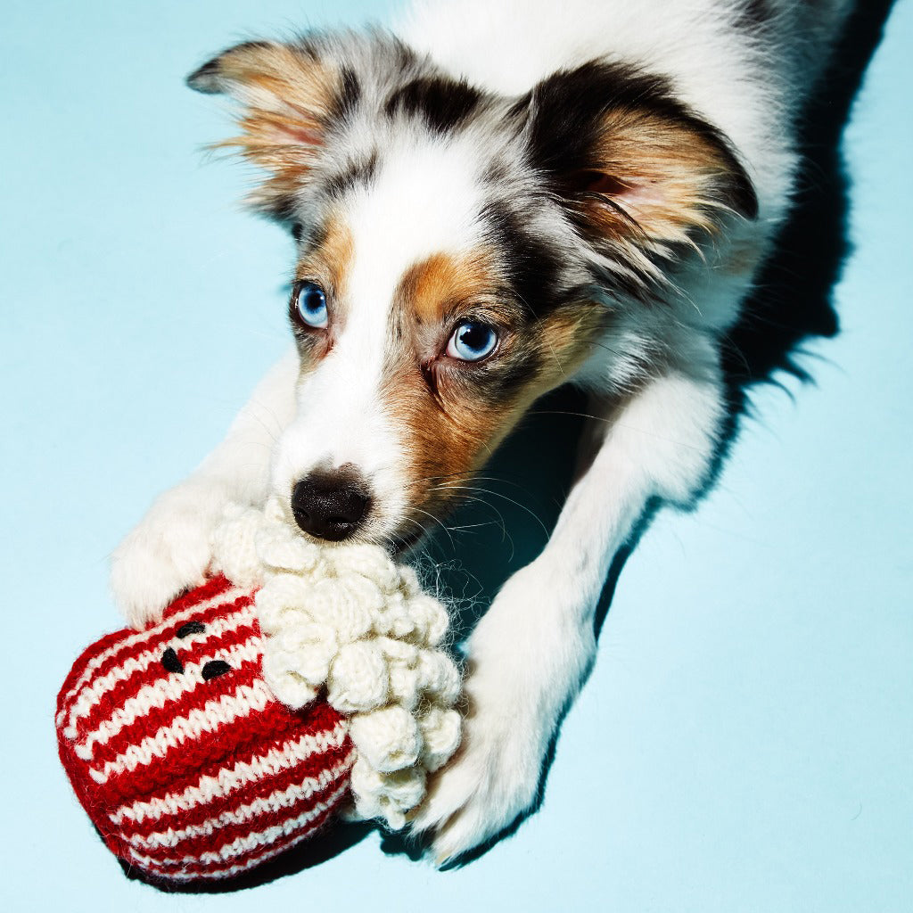 Ware of the Dog Hand Knit Pop Corn