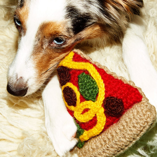 Ware of the Dog Hand Knit Pizza