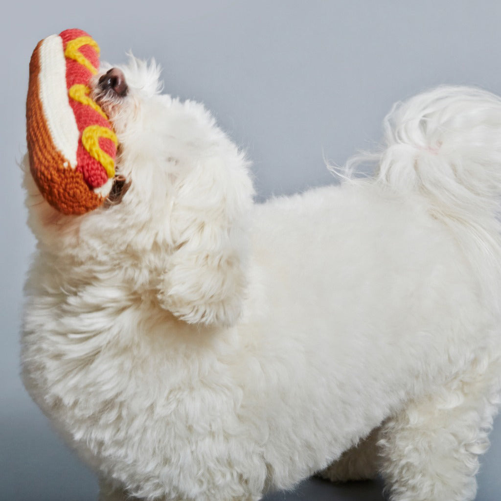 Ware of the Dog Hand Knit Hot Dog