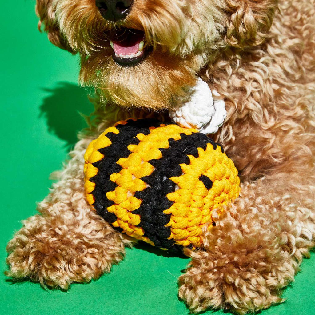 Ware of the Dog Crochet Bumble Bee