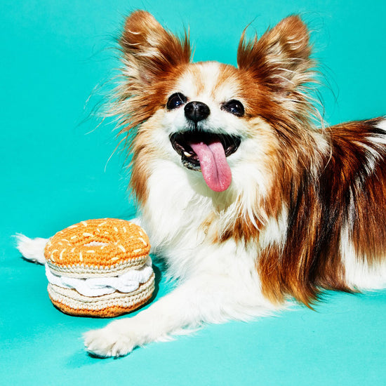 Ware of the Dog Hand Crochet Bagel and Cream Cheese