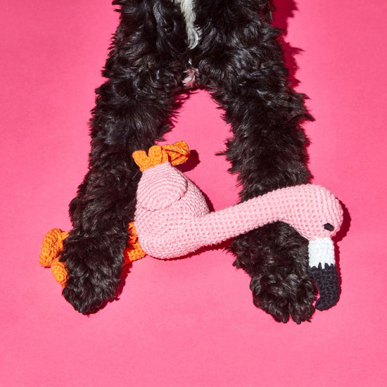 Ware of the Dog Hand Crochet Flamingo