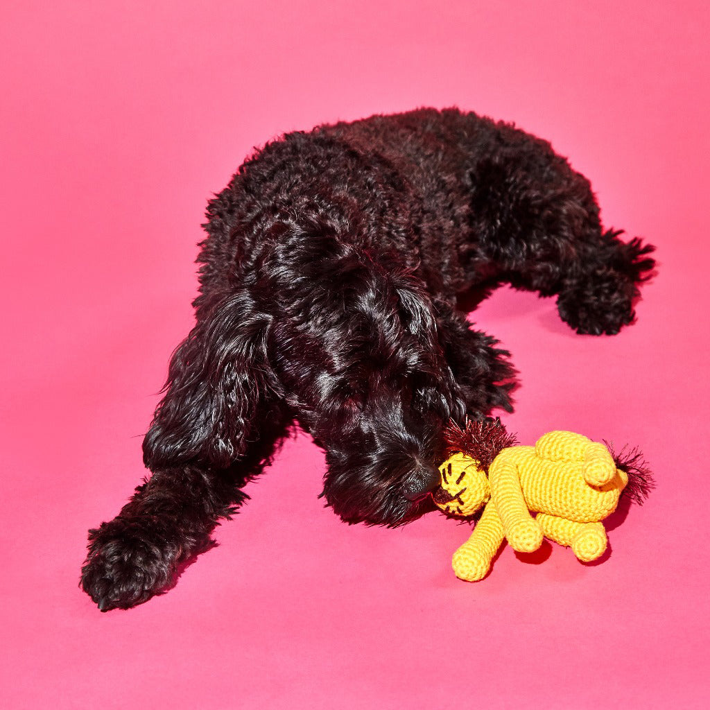 Ware of the Dog Hand Crochet Lion