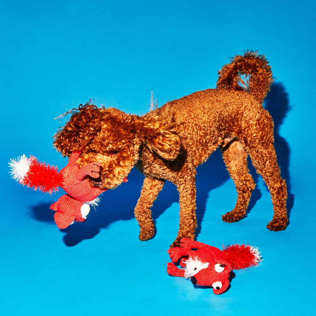 Ware of the Dog Hand Crochet Fox