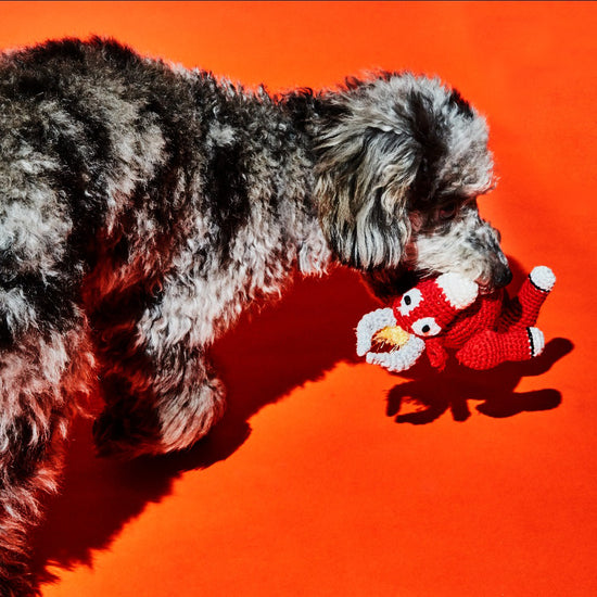 Ware of the Dog Hand Crochet Bull