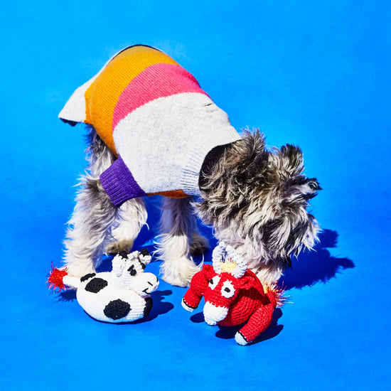 Ware of the Dog Hand Crochet Bull