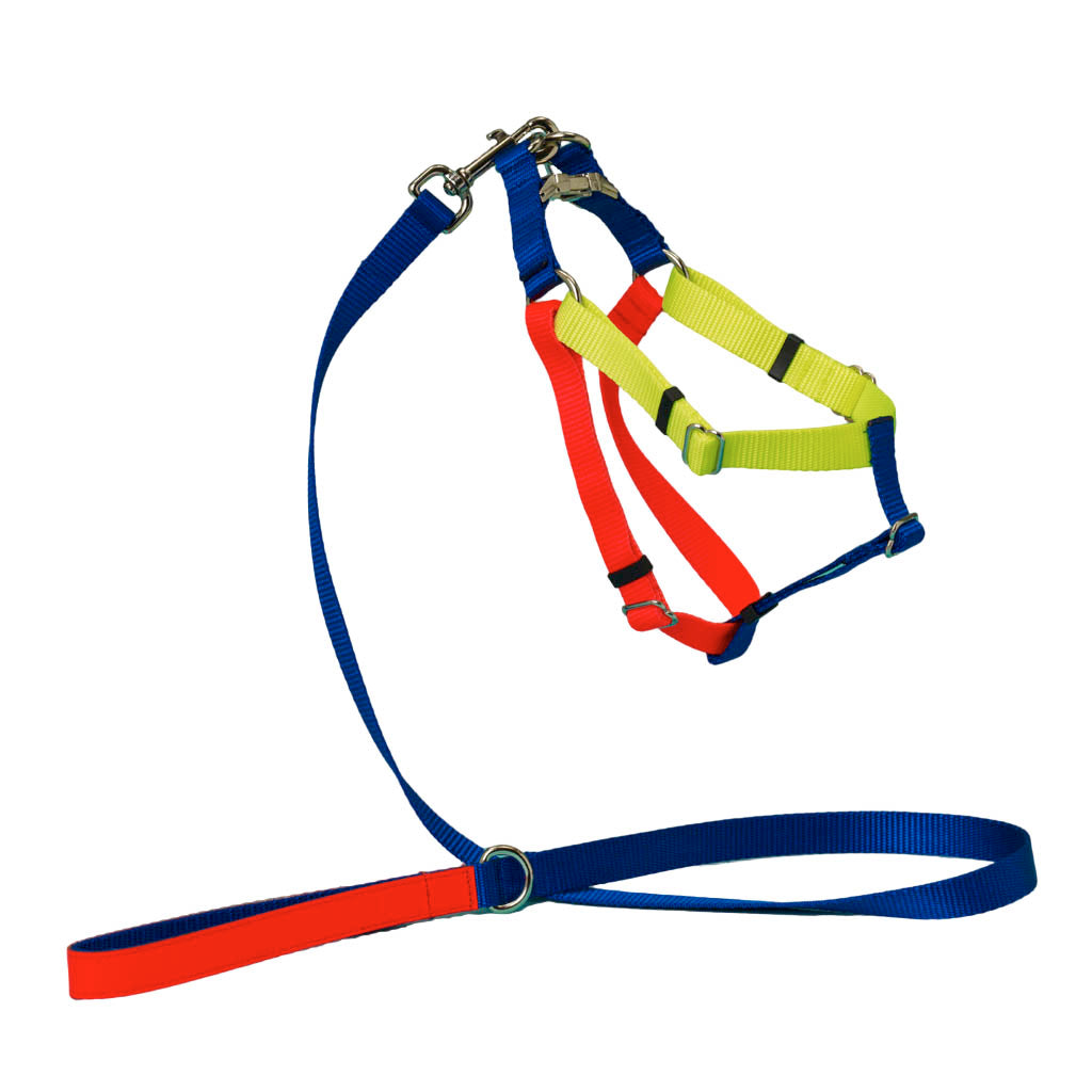 Ware of the Dog Medium Leash and Harness Set – Blue Orange Yellow