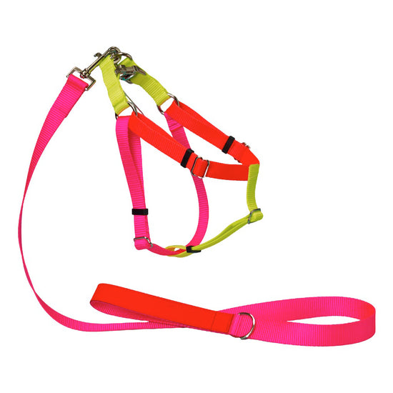 Ware of the Dog Medium Leash and Harness Set – Pink Orage Yellow