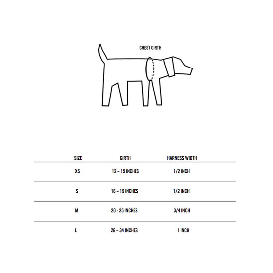 Ware of the Dog Large Leash and Harness Set – Pink Orage Yellow