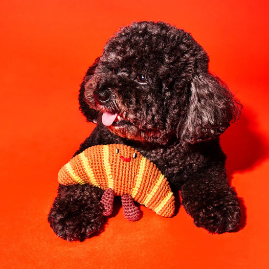 Ware of the Dog Hand Crochet Croissant