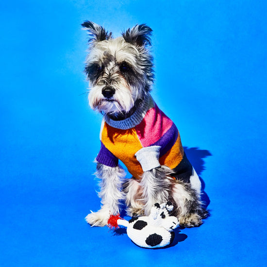 Ware of the Dog Hand Crochet Cow