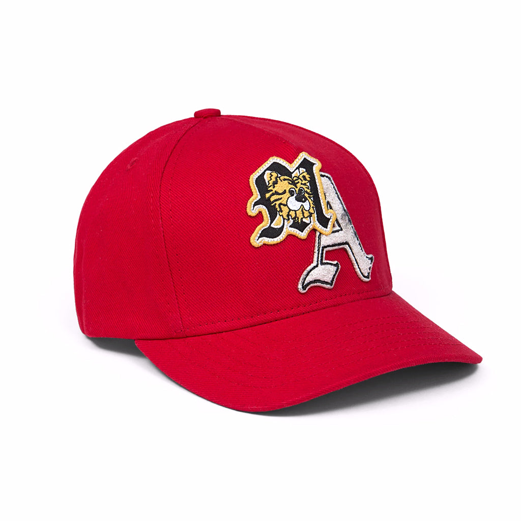 Amiri Kids Ma Varsity Hat