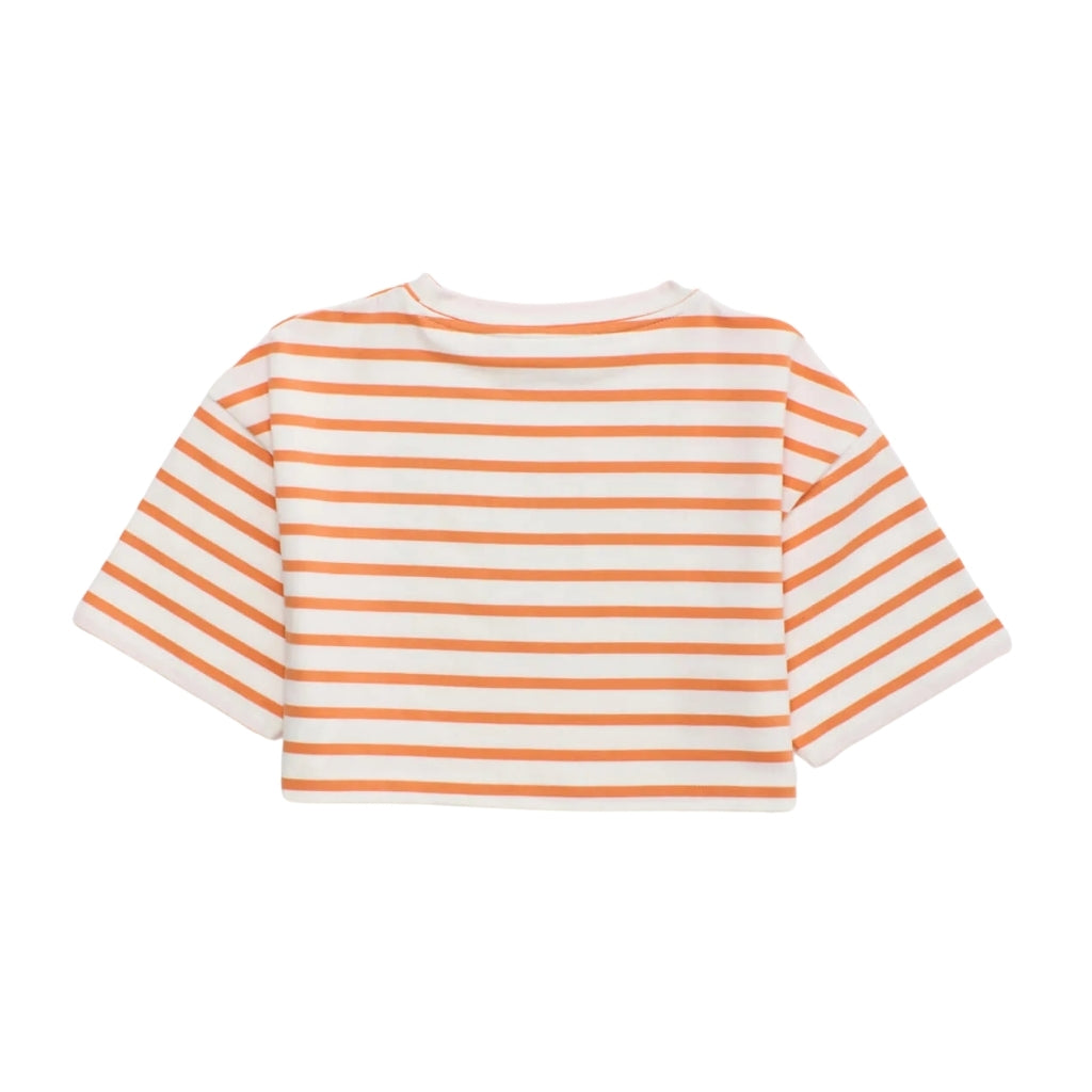 Maison Mangostan Birds Striped Crop T-shirt