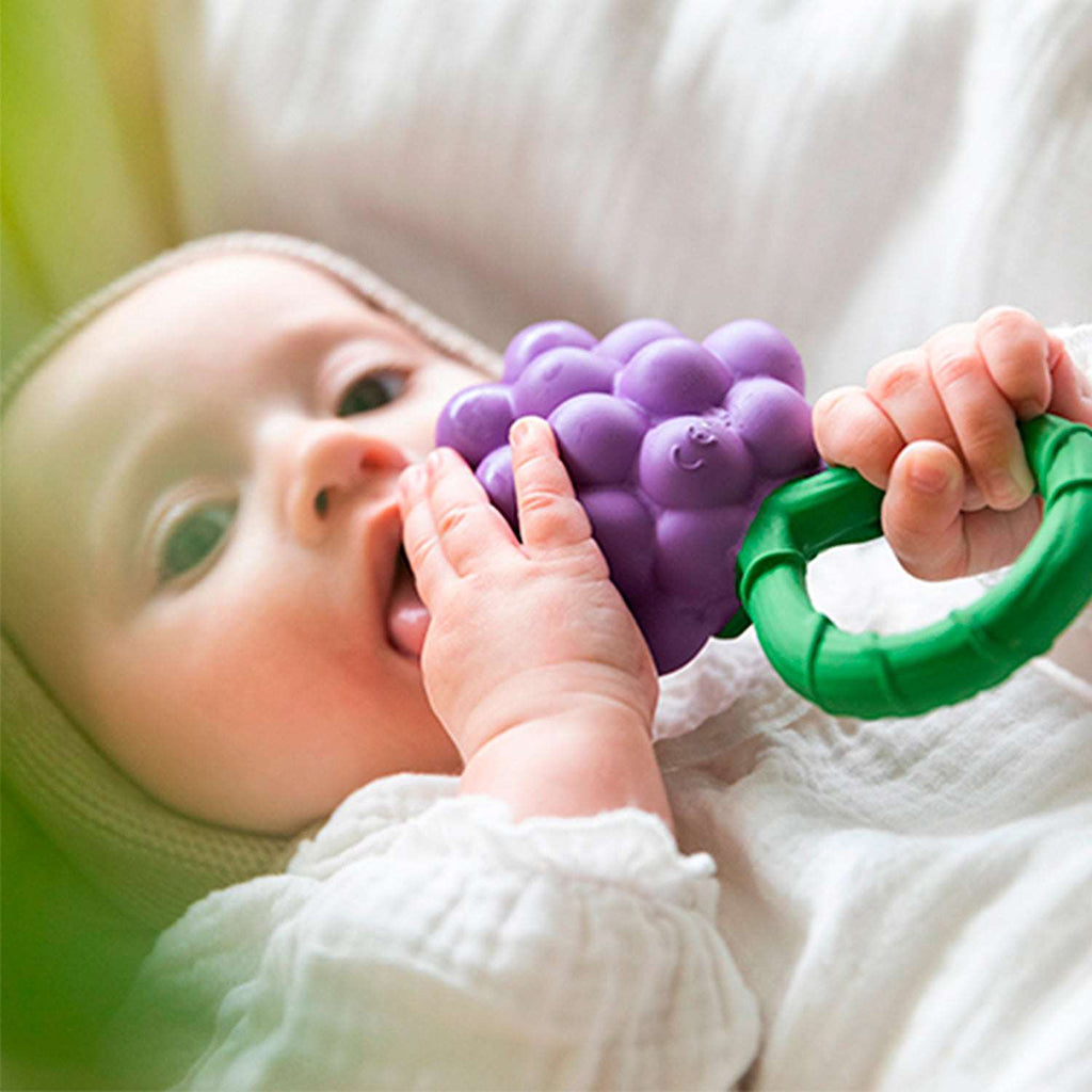Oli&Carol Grape Rattle Toy