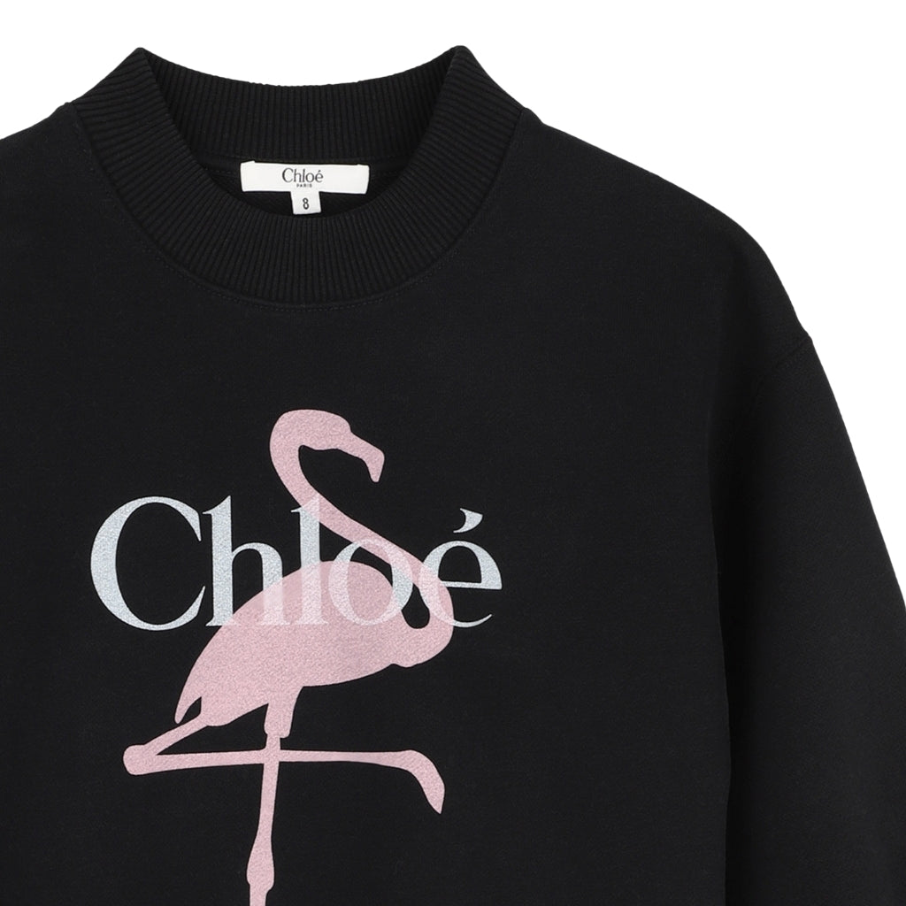 Chloé Kids Sweatshirt