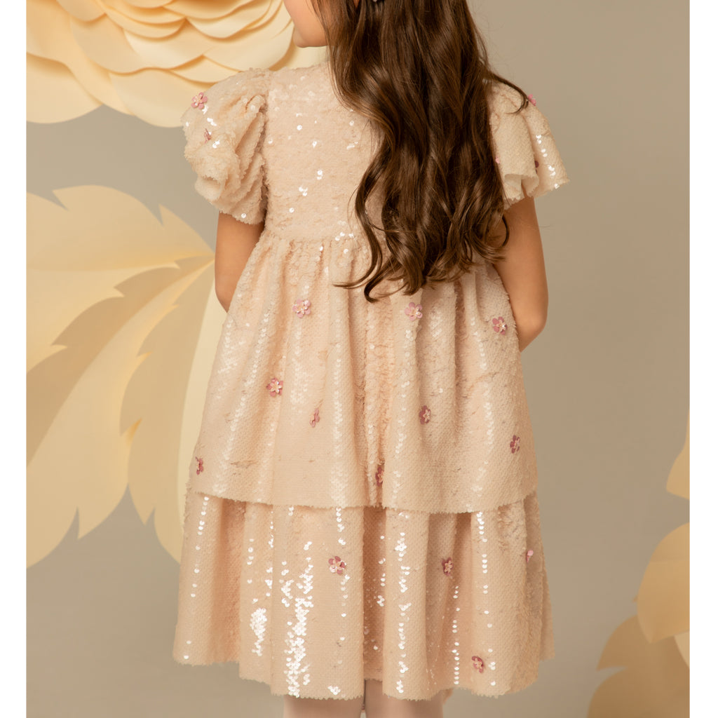 Eirene Tiered Embroidered Tulle Dress