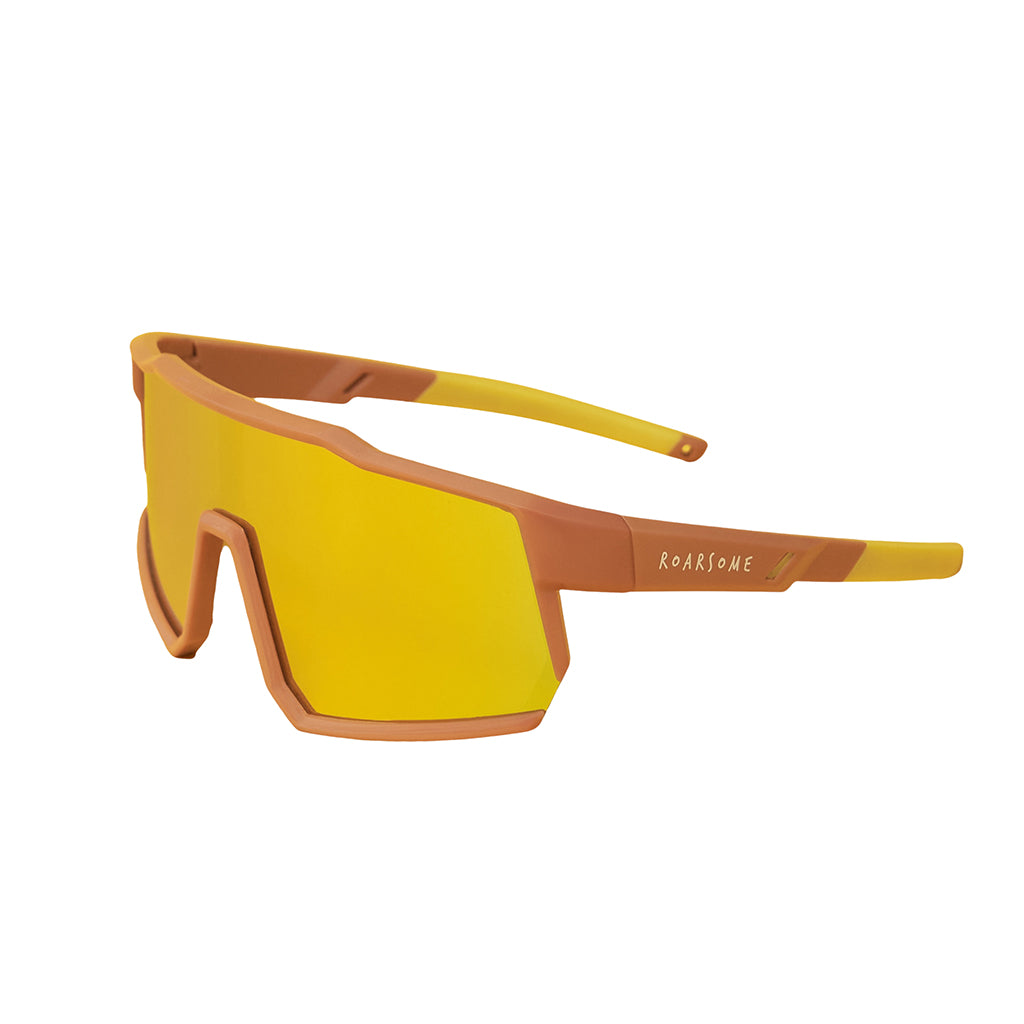 Roarsome Orange Kids Sunglasses
