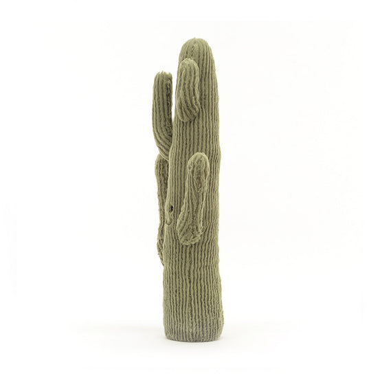 Load image into Gallery viewer, Amuseable Desert Cactus
